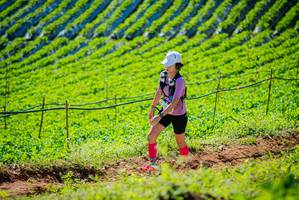 BIB: 
                            <button type="button" onclick="openModal(19161588)" class="btn btn-primary btn-sm float-right btn-popup" data-toggle="modal" data-target=".modal-high-quality">
                        <i class="fas fa-shopping-cart"></i> Add to Cart
                    </button>
                                            <button type="button" onclick="isThisMe(19161588, true)" class="btn btn-success btn-sm float-right btn-popup btn-isme hidden" data-toggle="tooltip" data-placement="bottom" title="นี่คือรูปของคุณใช่ไหม คลิกที่นี่เพื่อเอาเข้าอัลบั้ม">
                        <i class="fas fa-plus"></i> Add to album
                    </button>
                    <button type="button" onclick="isThisMe(19161588, false)" class="btn btn-warning btn-sm float-right btn-popup btn-isnotme hidden">
                        <i class="fas fa-ban"></i> Remove from album
                    </button>